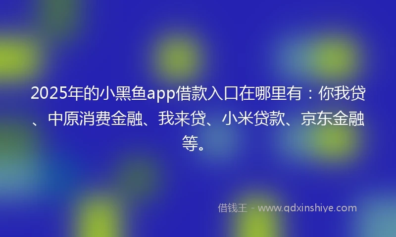 2025年的小黑鱼app借款入口在哪里有：你我贷、中原消费金融、我来贷、小米贷款、京东金融等。