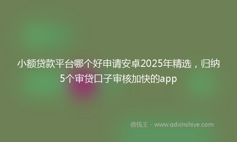 小额贷款平台哪个好申请安卓2025年精选，归纳5个审贷口子审核加快的app