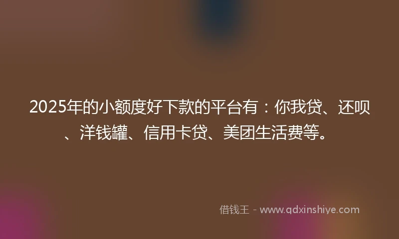 2025年的小额度好下款的平台有：你我贷、还呗、洋钱罐、信用卡贷、美团生活费等。