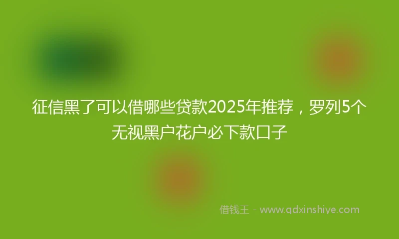 征信黑了可以借哪些贷款2025年推荐，罗列5个无视黑户花户必下款口子