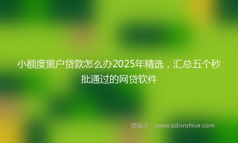 小额度黑户贷款怎么办2025年精选，汇总五个秒批通过的网贷软件