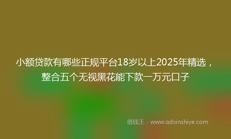 小额贷款有哪些正规平台18岁以上2025年精选，整合五个无视黑花能下款一万元口子