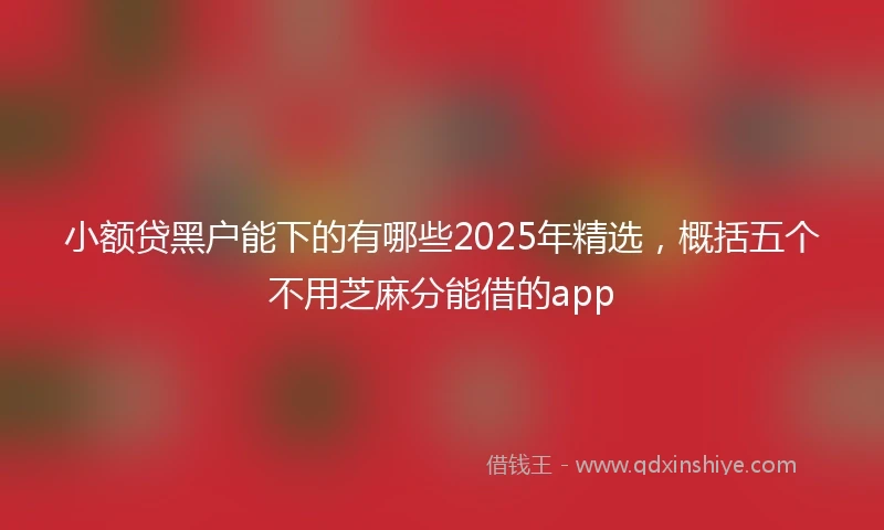 小额贷黑户能下的有哪些2025年精选,概括五个不用芝麻分能借的app