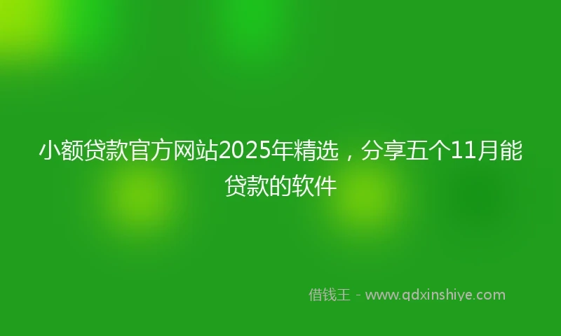 小额贷款官方网站2025年精选，分享五个11月能贷款的软件