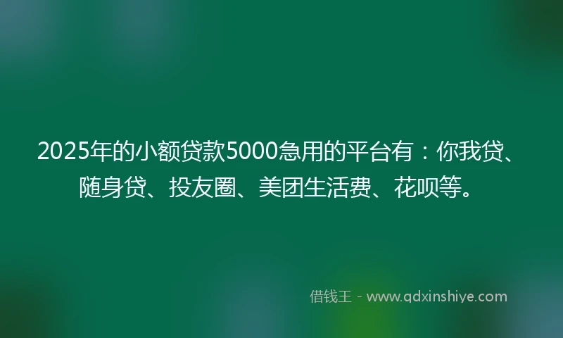 2025年的小额贷款5000急用的平台有：你我贷、随身贷、投友圈、美团生活费、花呗等。