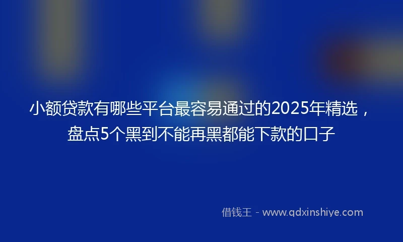 小额贷款有哪些平台最容易通过的2025年精选，盘点5个黑到不能再黑都能下款的口子