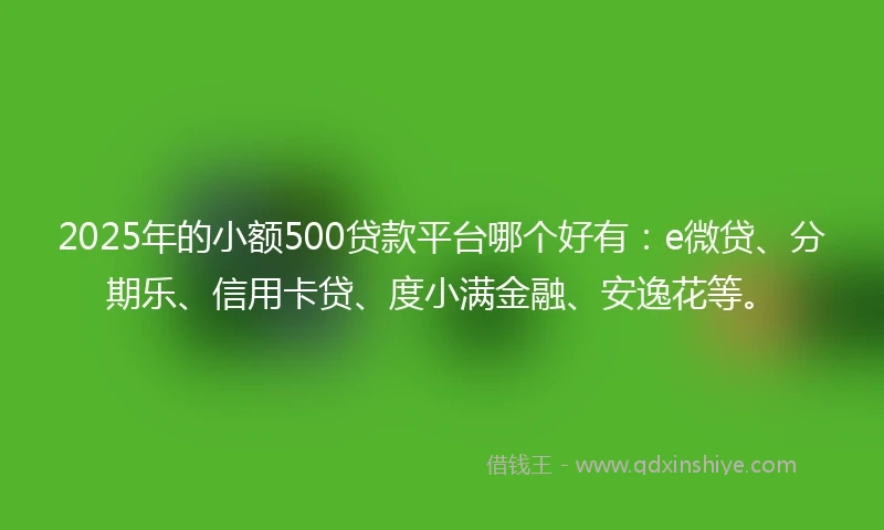 2025年的小额500贷款平台哪个好有：e微贷、分期乐、信用卡贷、度小满金融、安逸花等。