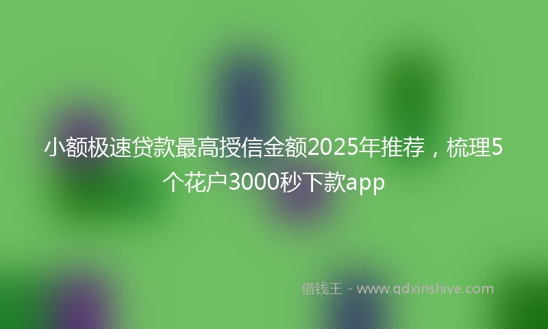 小额极速贷款最高授信金额2025年推荐，梳理5个花户3000秒下款app