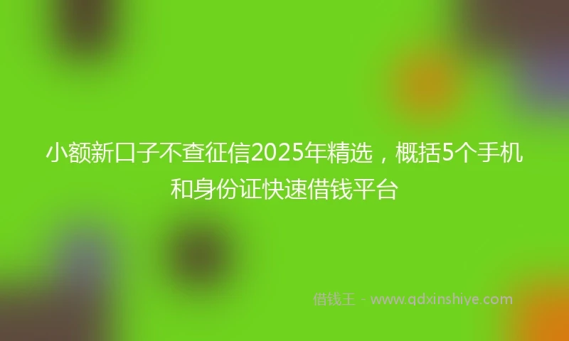 小额新口子不查征信2025年精选，概括5个手机和身份证快速借钱平台
