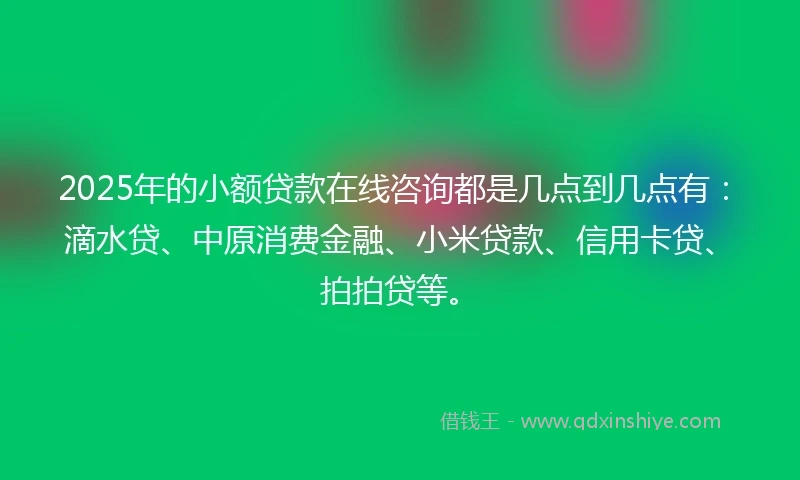 2025年的小额贷款在线咨询都是几点到几点有：滴水贷、中原消费金融、小米贷款、信用卡贷、拍拍贷等。
