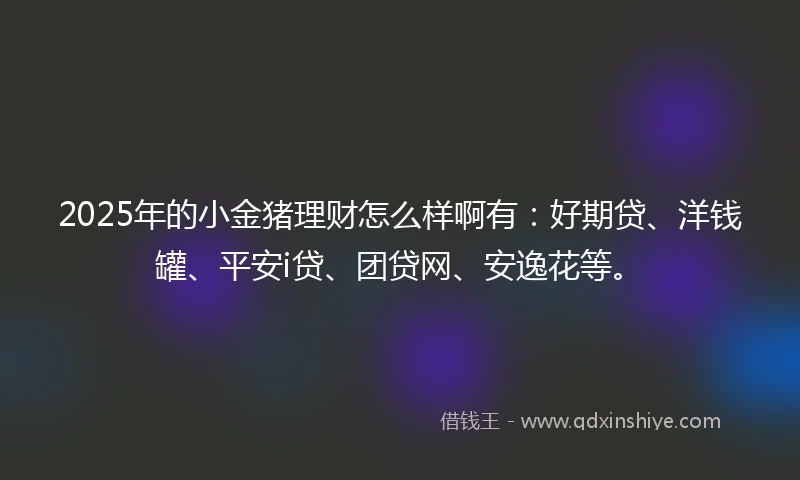 2025年的小金猪理财怎么样啊有：好期贷、洋钱罐、平安i贷、团贷网、安逸花等。