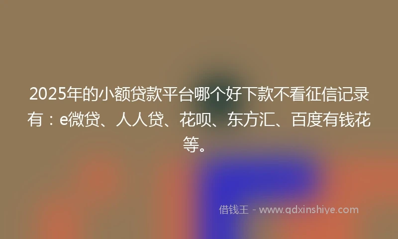 2025年的小额贷款平台哪个好下款不看征信记录有：e微贷、人人贷、花呗、东方汇、百度有钱花等。