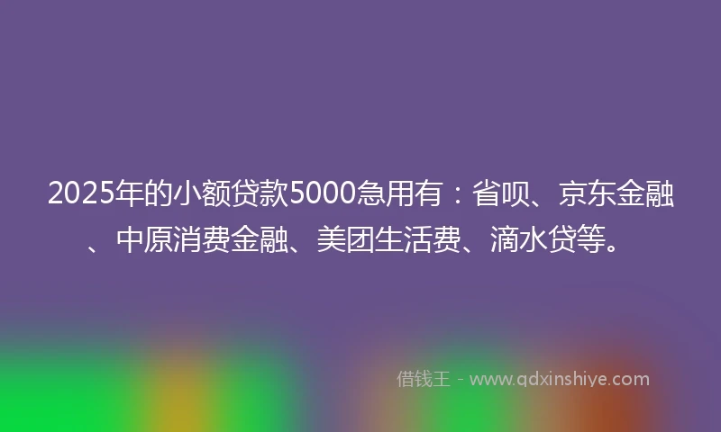 2025年的小额贷款5000急用有：省呗、京东金融、中原消费金融、美团生活费、滴水贷等。