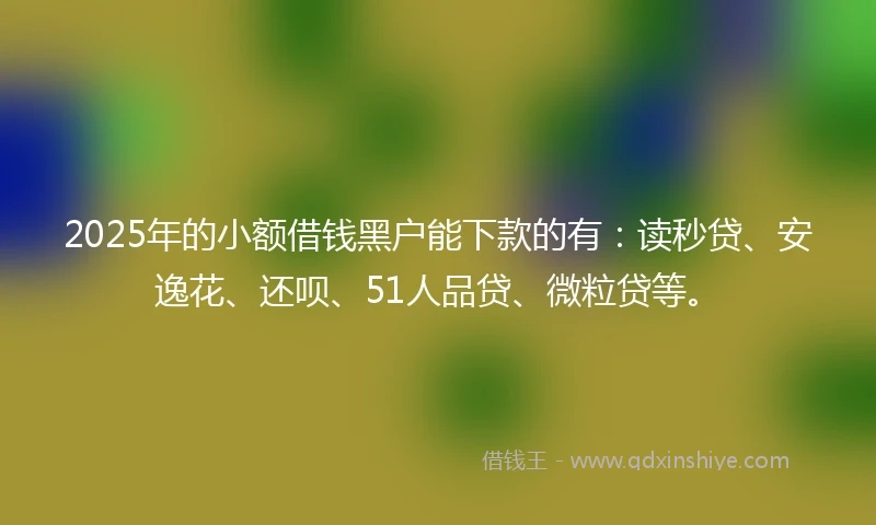 2025年的小额借钱黑户能下款的有：读秒贷、安逸花、还呗、51人品贷、微粒贷等。