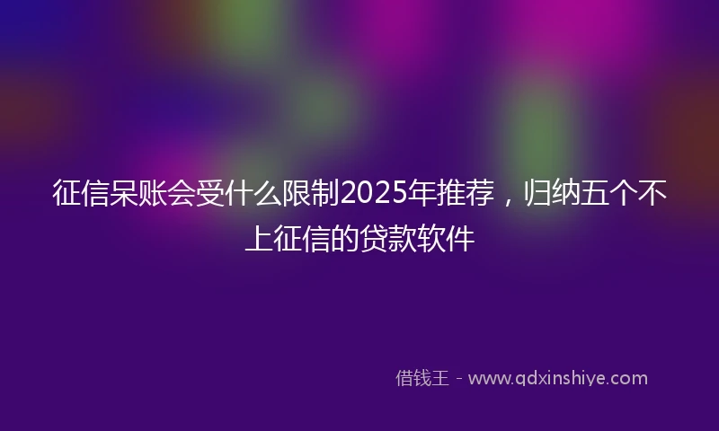 征信呆账会受什么限制2025年推荐，归纳五个不上征信的贷款软件
