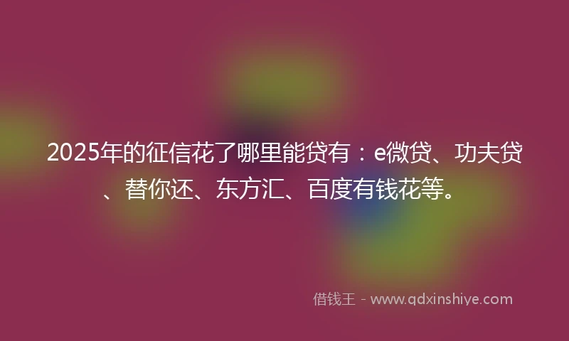 2025年的征信花了哪里能贷有:e微贷、功夫贷、替你还、东方汇、百度有钱花等。