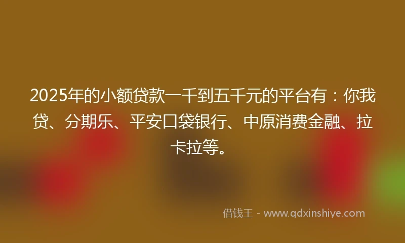 2025年的小额贷款一千到五千元的平台有：你我贷、分期乐、平安口袋银行、中原消费金融、拉卡拉等。