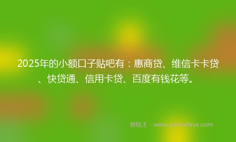 2025年的小额口子贴吧有：惠商贷、维信卡卡贷、快贷通、信用卡贷、百度有钱花等。
