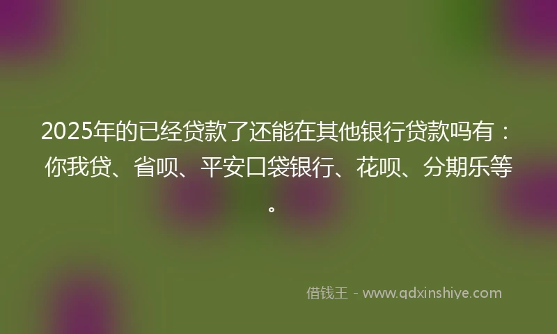 2025年的已经贷款了还能在其他银行贷款吗有：你我贷、省呗、平安口袋银行、花呗、分期乐等。