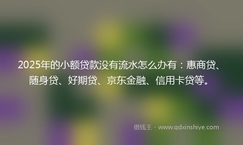 2025年的小额贷款没有流水怎么办有：惠商贷、随身贷、好期贷、京东金融、信用卡贷等。