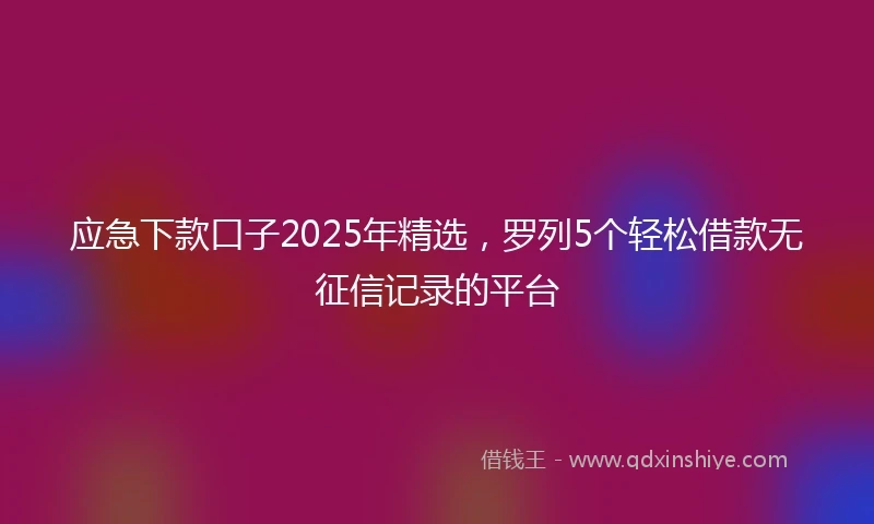 应急下款口子2025年精选，罗列5个轻松借款无征信记录的平台