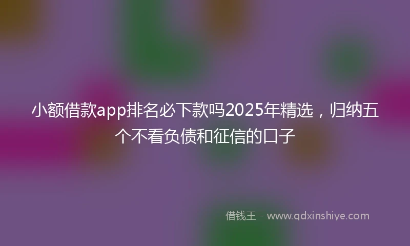 小额借款app排名必下款吗2025年精选，归纳五个不看负债和征信的口子