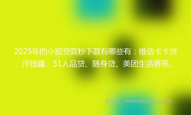 2025年的小额贷款秒下款有哪些有：维信卡卡贷、洋钱罐、51人品贷、随身贷、美团生活费等。