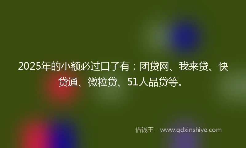 2025年的小额必过口子有：团贷网、我来贷、快贷通、微粒贷、51人品贷等。