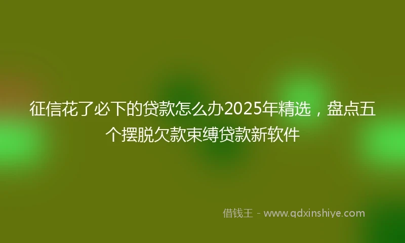 征信花了必下的贷款怎么办2025年精选，盘点五个摆脱欠款束缚贷款新软件