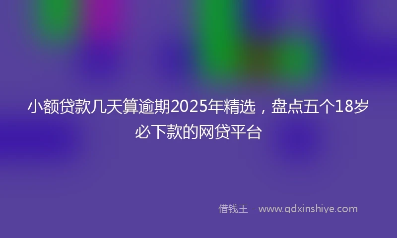 小额贷款几天算逾期2025年精选，盘点五个18岁必下款的网贷平台