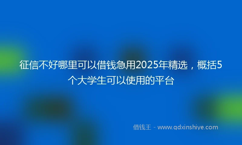 征信不好哪里可以借钱急用2025年精选，概括5个大学生可以使用的平台