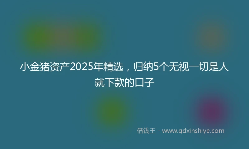 小金猪资产2025年精选，归纳5个无视一切是人就下款的口子