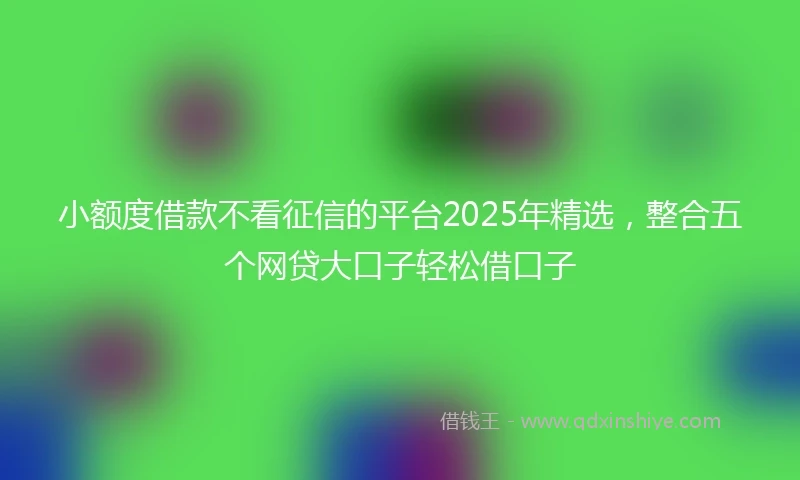 小额度借款不看征信的平台2025年精选，整合五个网贷大口子轻松借口子