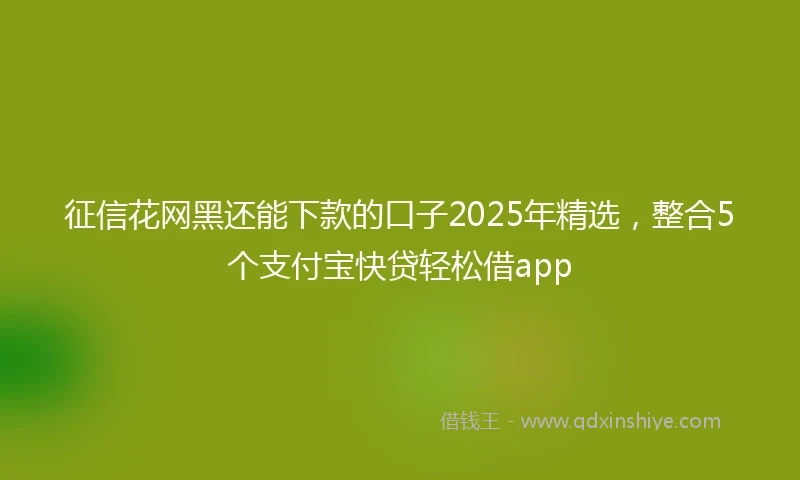 征信花网黑还能下款的口子2025年精选，整合5个支付宝快贷轻松借app