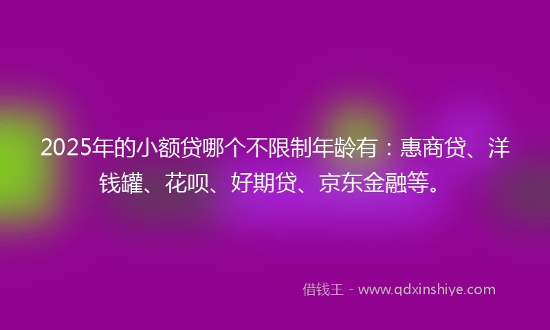 2025年的小额贷哪个不限制年龄有：惠商贷、洋钱罐、花呗、好期贷、京东金融等。