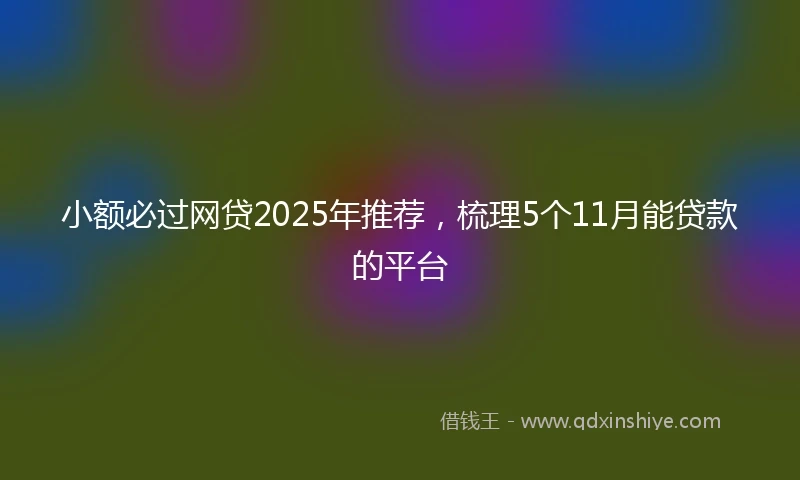 小额必过网贷2025年推荐，梳理5个11月能贷款的平台