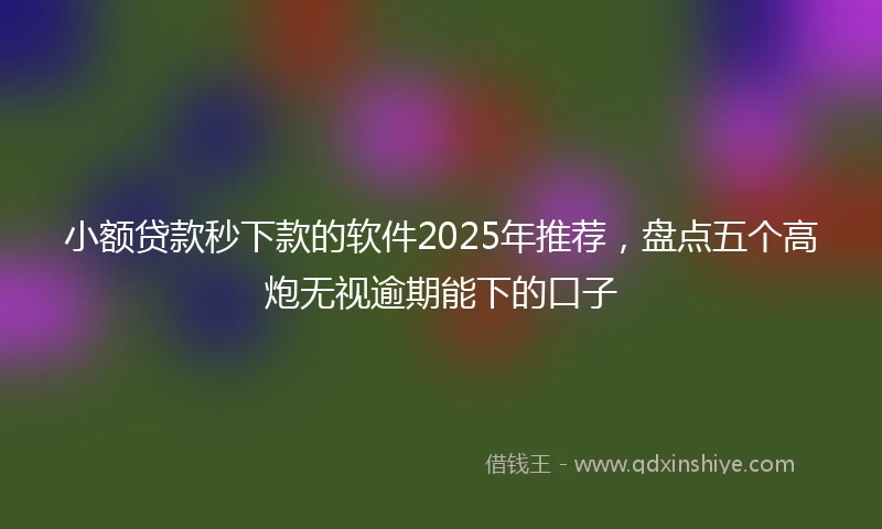 小额贷款秒下款的软件2025年推荐，盘点五个高炮无视逾期能下的口子