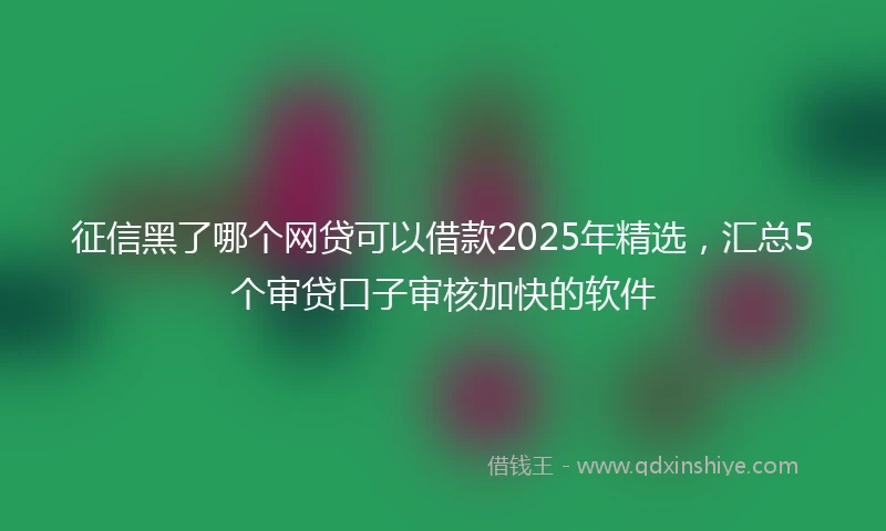 征信黑了哪个网贷可以借款2025年精选，汇总5个审贷口子审核加快的软件