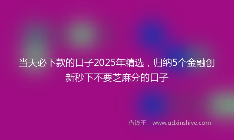 当天必下款的口子2025年精选，归纳5个金融创新秒下不要芝麻分的口子