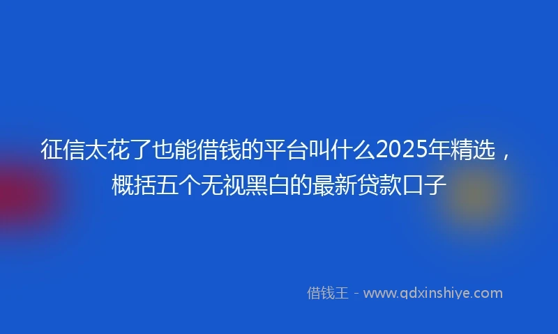 征信太花了也能借钱的平台叫什么2025年精选，概括五个无视黑白的最新贷款口子
