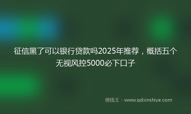 征信黑了可以银行贷款吗2025年推荐，概括五个无视风控5000必下口子