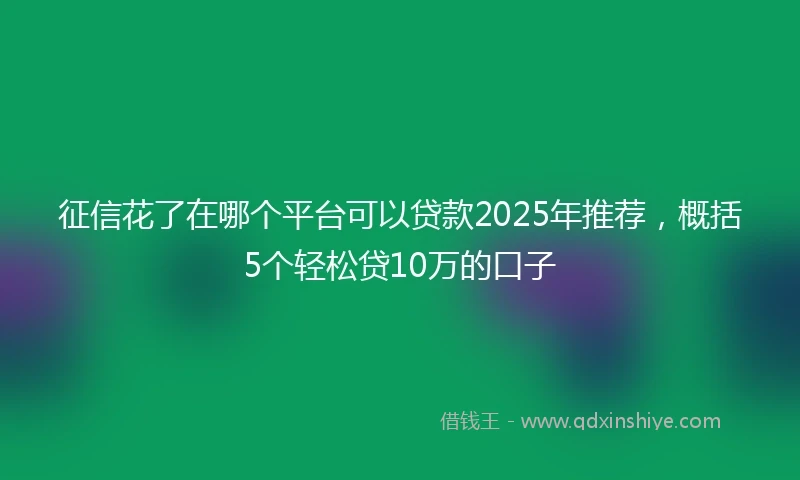 征信花了在哪个平台可以贷款2025年推荐，概括5个轻松贷10万的口子