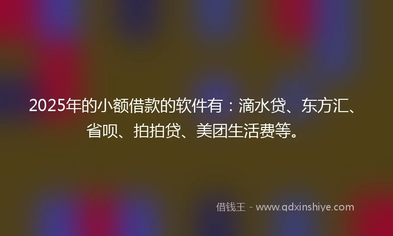 2025年的小额借款的软件有：滴水贷、东方汇、省呗、拍拍贷、美团生活费等。