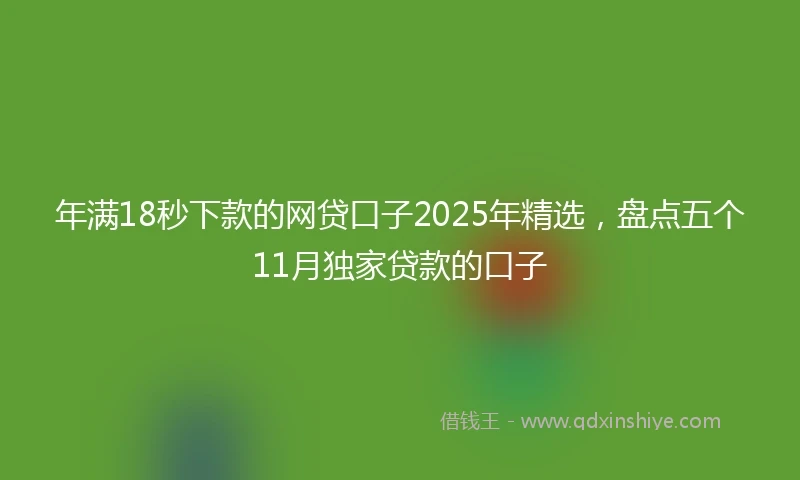 年满18秒下款的网贷口子2025年精选，盘点五个11月独家贷款的口子