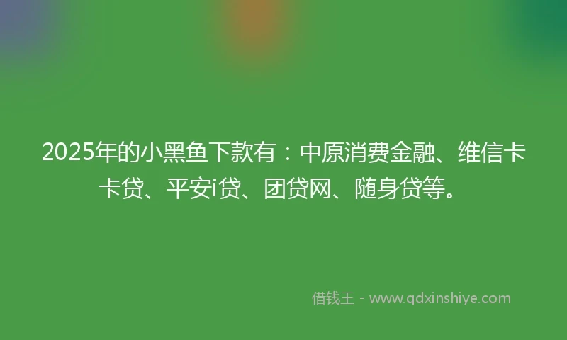 2025年的小黑鱼下款有：中原消费金融、维信卡卡贷、平安i贷、团贷网、随身贷等。