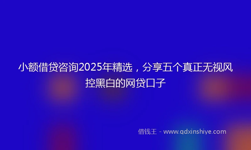 小额借贷咨询2025年精选，分享五个真正无视风控黑白的网贷口子