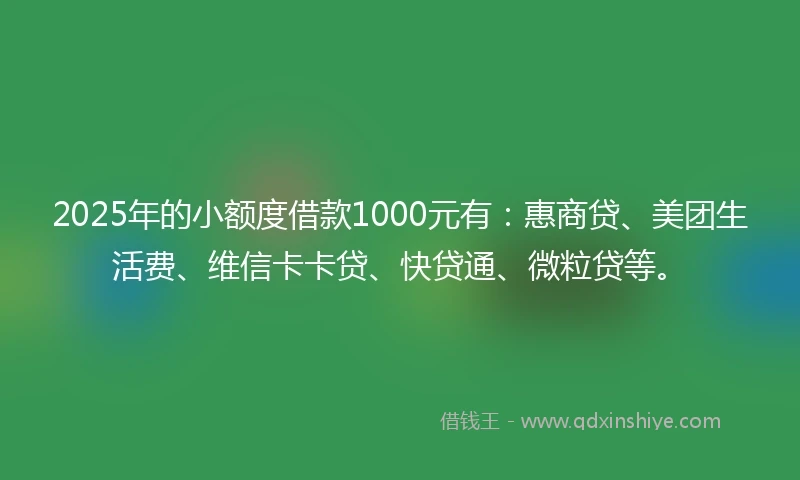 2025年的小额度借款1000元有：惠商贷、美团生活费、维信卡卡贷、快贷通、微粒贷等。