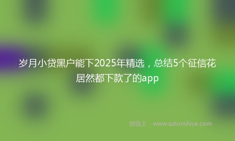 岁月小贷黑户能下2025年精选，总结5个征信花居然都下款了的app
