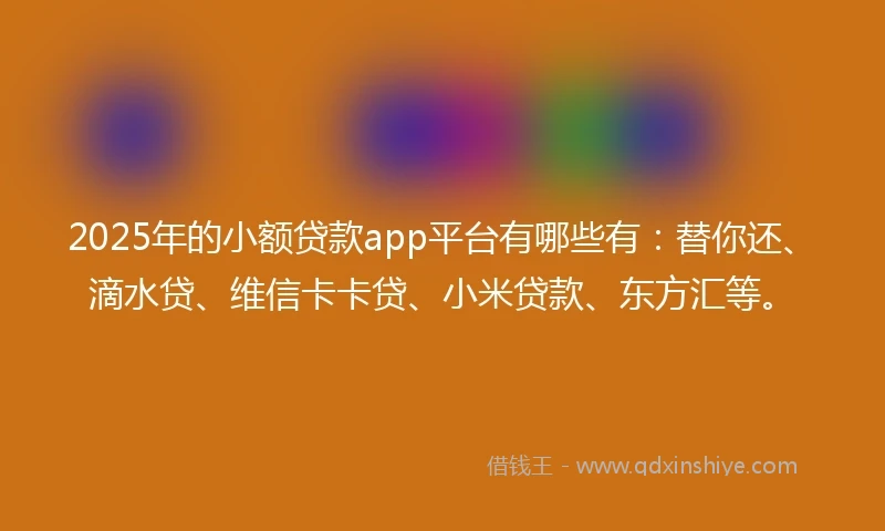 2025年的小额贷款app平台有哪些有：替你还、滴水贷、维信卡卡贷、小米贷款、东方汇等。
