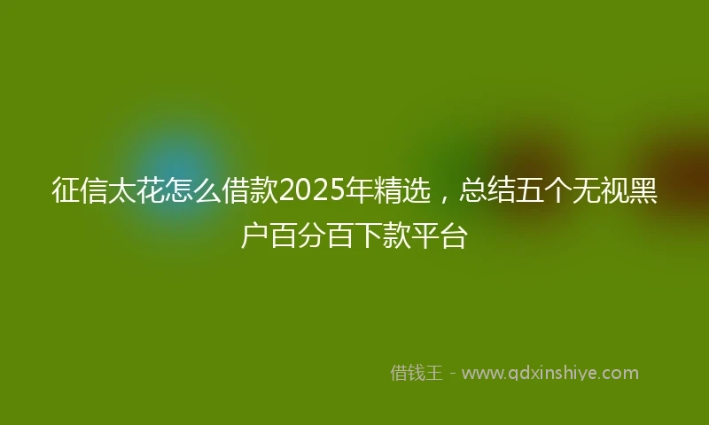征信太花怎么借款2025年精选,总结五个无视黑户百分百下款平台
